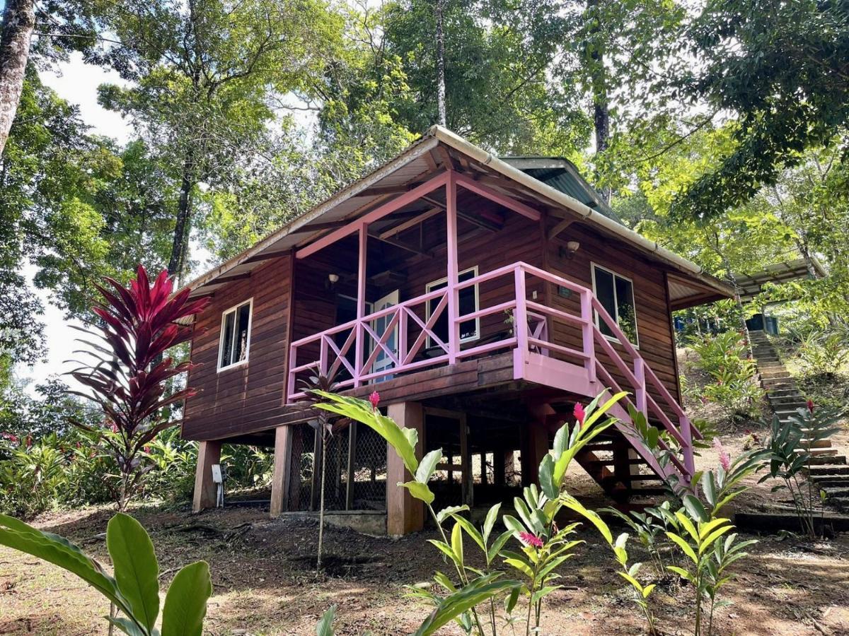 Akwaba Lodge The Gap Exteriér fotografie
