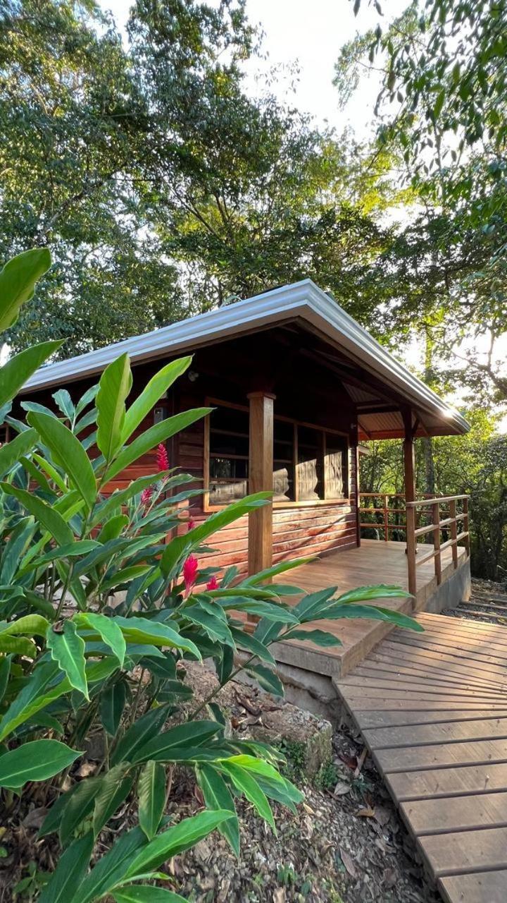 Akwaba Lodge The Gap Exteriér fotografie
