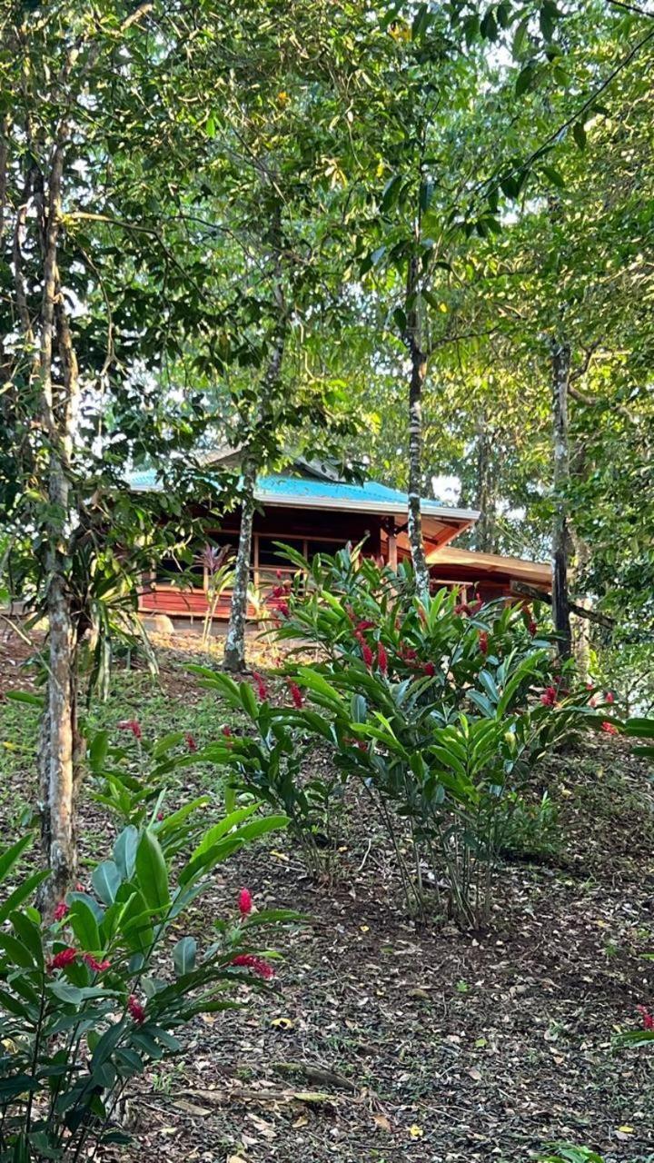 Akwaba Lodge The Gap Pokoj fotografie
